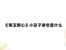 《南玉卿心》小豆子身世是什么