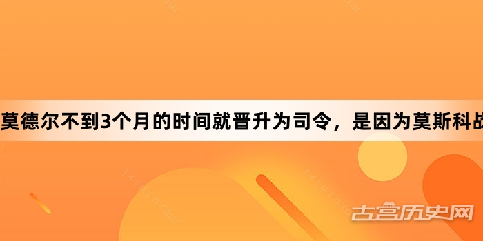 莫德尔不到3个月的时间就晋升为司令，是因为莫斯科战役吗？