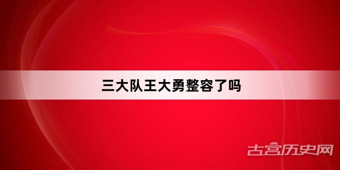 三大队王大勇整容了吗