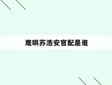 难哄苏浩安官配是谁