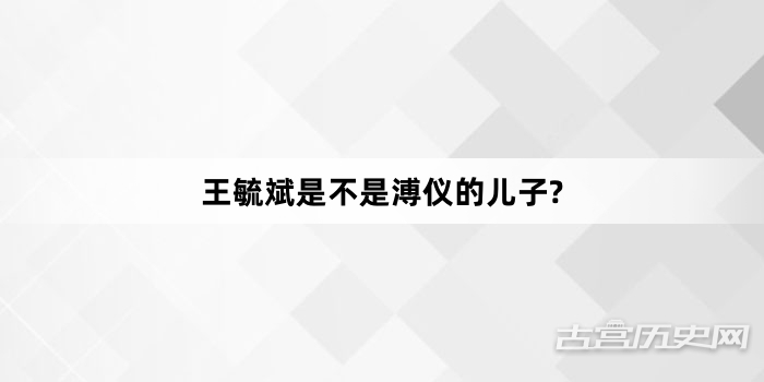 王毓斌是不是溥仪的儿子?