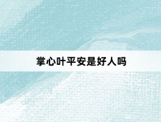 掌心叶平安是好人吗