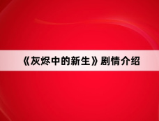《灰烬中的新生》剧情介绍