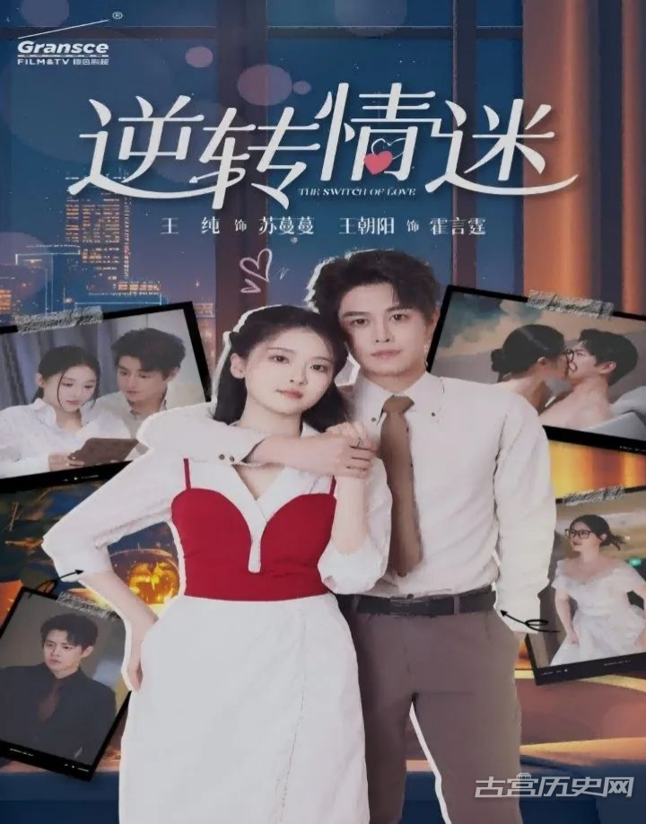 《逆转情迷》剧情介绍