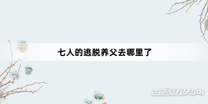 七人的逃脱养父去哪里了