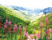 夏尔希里的地理位置