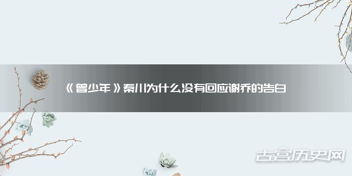 《曾少年》秦川为什么没有回应谢乔的告白
