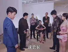 《透视不赌石你又在乱看》剧情介绍