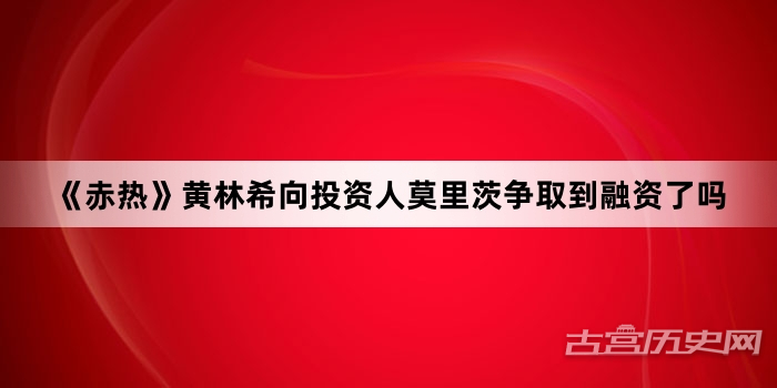 《赤热》黄林希向投资人莫里茨争取到融资了吗