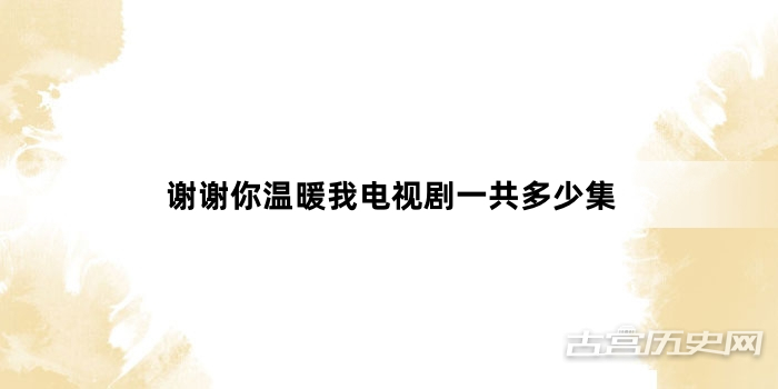 谢谢你温暖我电视剧一共多少集