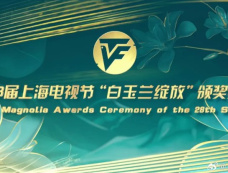 第29届上海电视节白玉兰奖结果什么时候公布