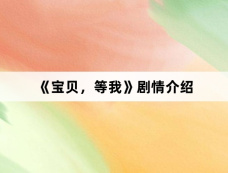 《宝贝,等我》剧情介绍