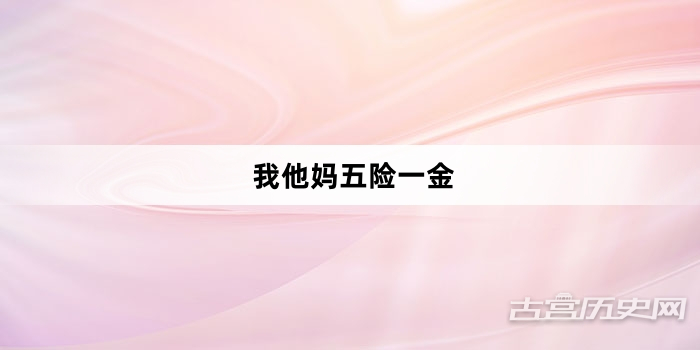 “我他妈五险一金”网络梗词解释