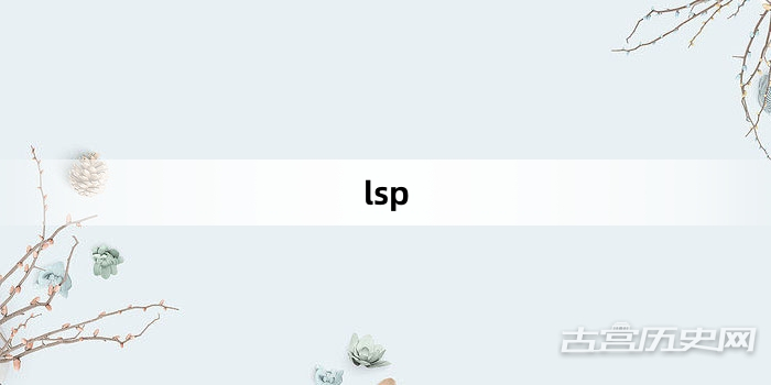 “lsp”网络梗词解释