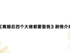 《离婚后四个大佬都要娶我》剧情介绍