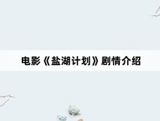 电影《盐湖计划》剧情介绍