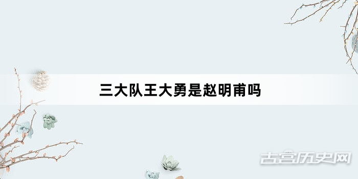 三大队王大勇是赵明甫吗