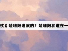 《山河枕》楚临阳谁演的?楚临阳和谁在一起了?