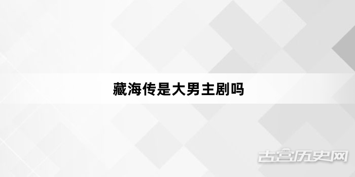 藏海传是大男主剧吗