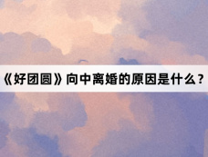 《好团圆》向中离婚的原因是什么？