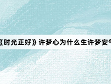 《时光正好》许梦心为什么生许梦安气