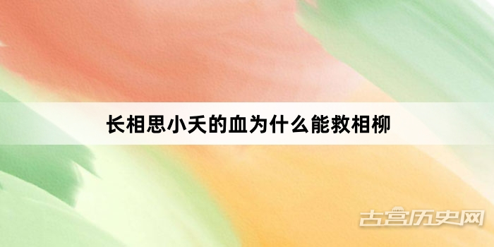 长相思小夭的血为什么能救相柳