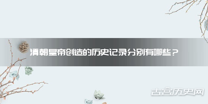 清朝皇帝创造的历史记录分别有哪些？