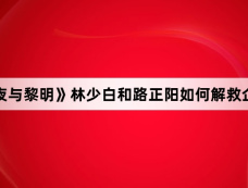 《暗夜与黎明》林少白和路正阳如何解救企业家