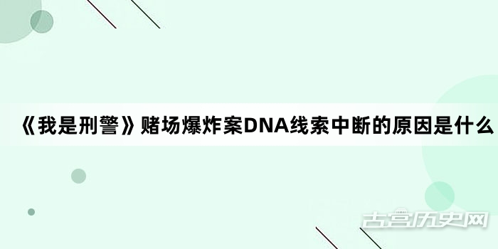 《我是刑警》赌场爆炸案DNA线索中断的原因是什么