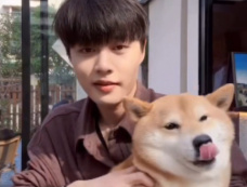 柯淳主演的所有短剧大全