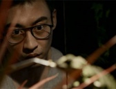 《江照黎明》王城关的女人是谁