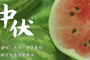 中伏的含义