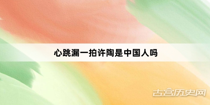 心跳漏一拍许陶是中国人吗