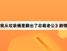 《看我从垃圾桶里翻出了总裁老公》剧情介绍