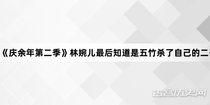 《庆余年第二季》林婉儿最后知道是五竹杀了自己的二哥吗