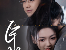 《臣服》剧情介绍