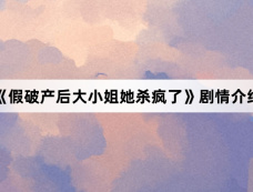 《假破产后大小姐她杀疯了》剧情介绍