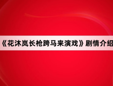 《花沐岚长枪跨马来演戏》剧情介绍