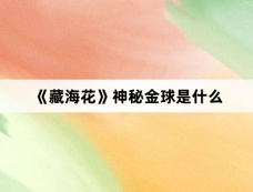 《藏海花》神秘金球是什么