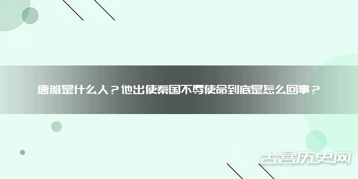 唐雎是什么人？他出使秦国不辱使命到底是怎么回事？