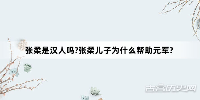 张柔是汉人吗?张柔儿子为什么帮助元军?