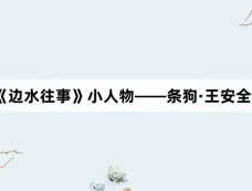 《边水往事》小人物——条狗·王安全
