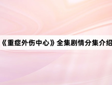 《重症外伤中心》全集剧情分集介绍