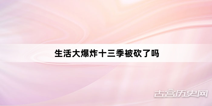 生活大爆炸十三季被砍了吗