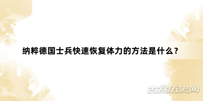 纳粹德国士兵快速恢复体力的方法是什么？