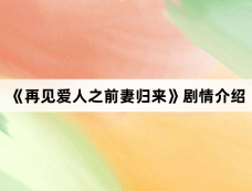 《再见爱人之前妻归来》剧情介绍