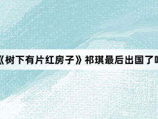 《树下有片红房子》祁琪最后出国了吗