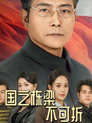 《国之脊梁不可折》剧情介绍