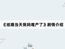 《结婚当天我妈难产了》剧情介绍