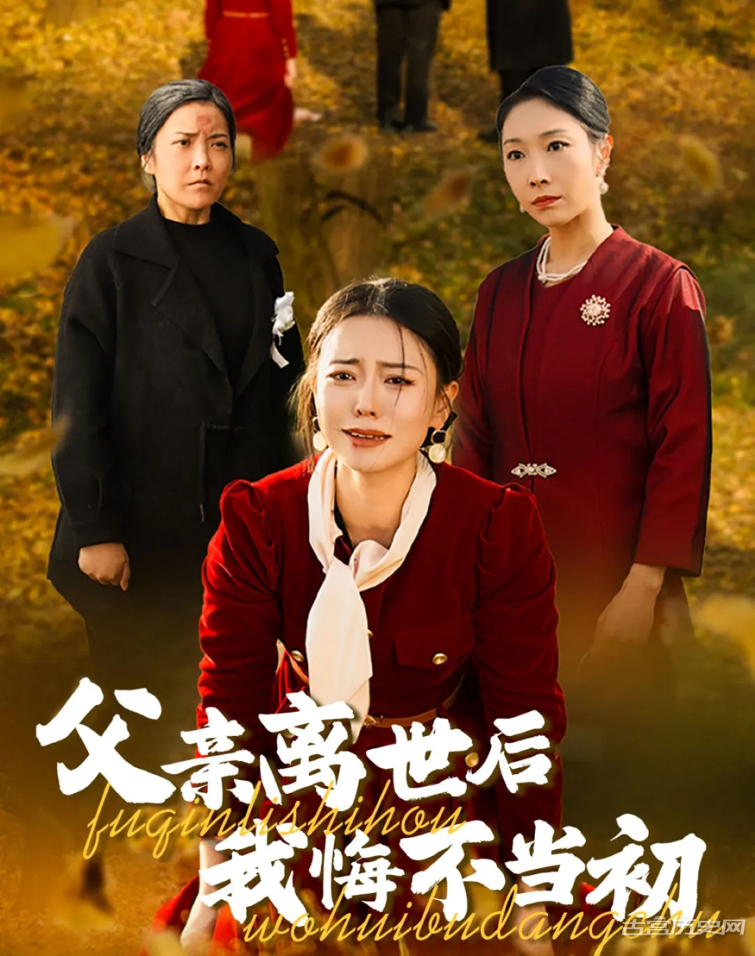 《父亲离世后我悔不当初》剧情介绍